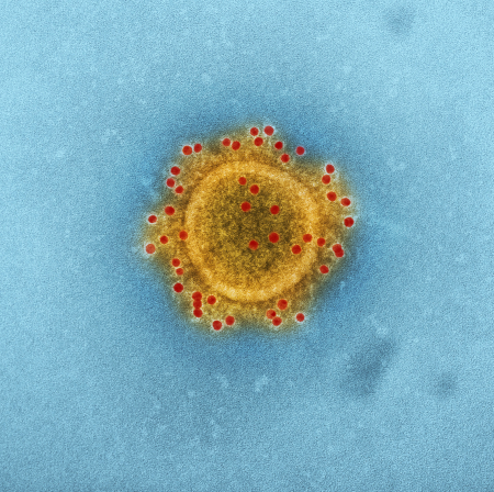 Coronavirus im Onlinehandel. Mehr im Kantenschutzprofil Blog